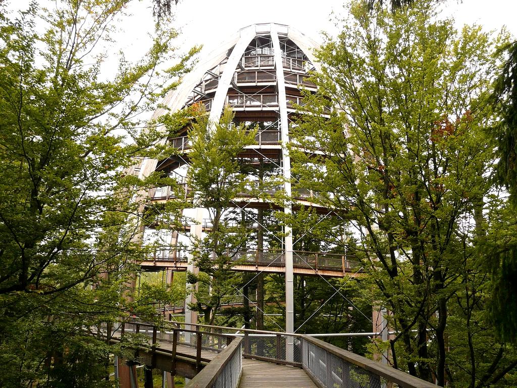 Neural network expansion showing increased connectivity