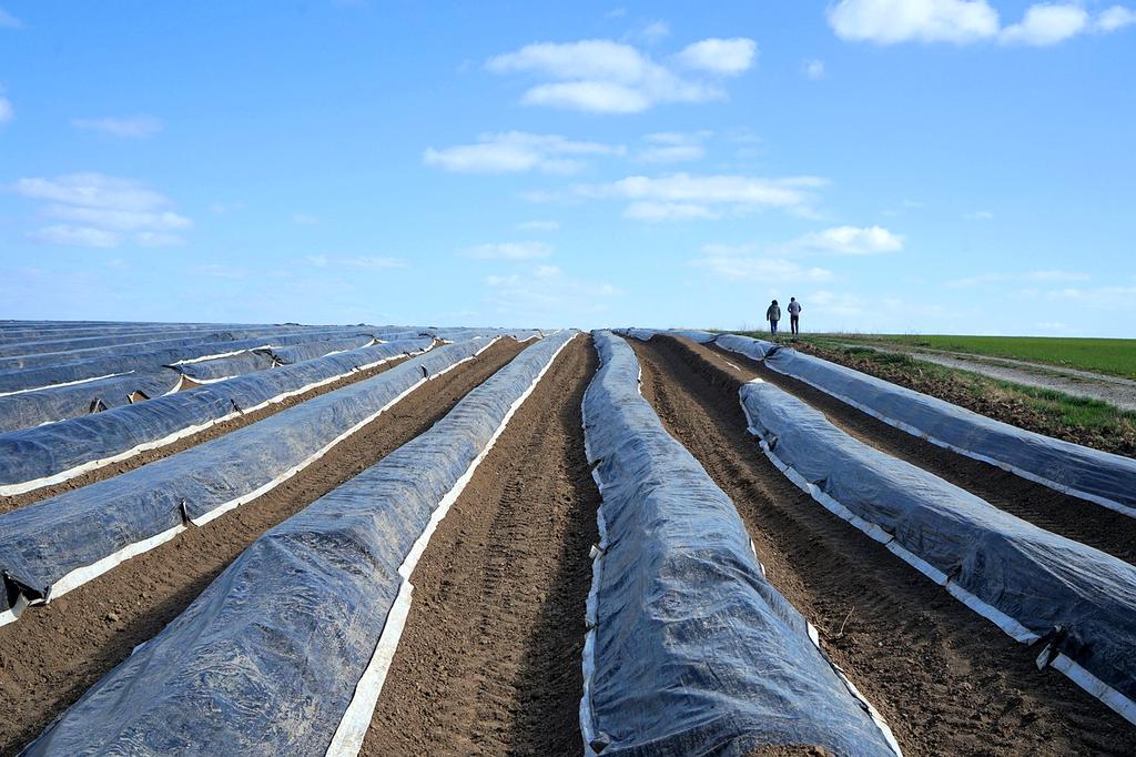 Abstract quantum field with energy particles and wave functions